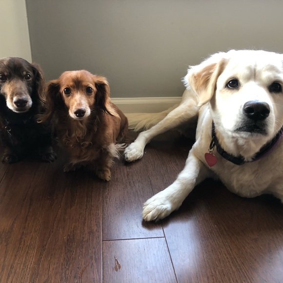 Meet your Posher, Susan - Picture 4 of 4